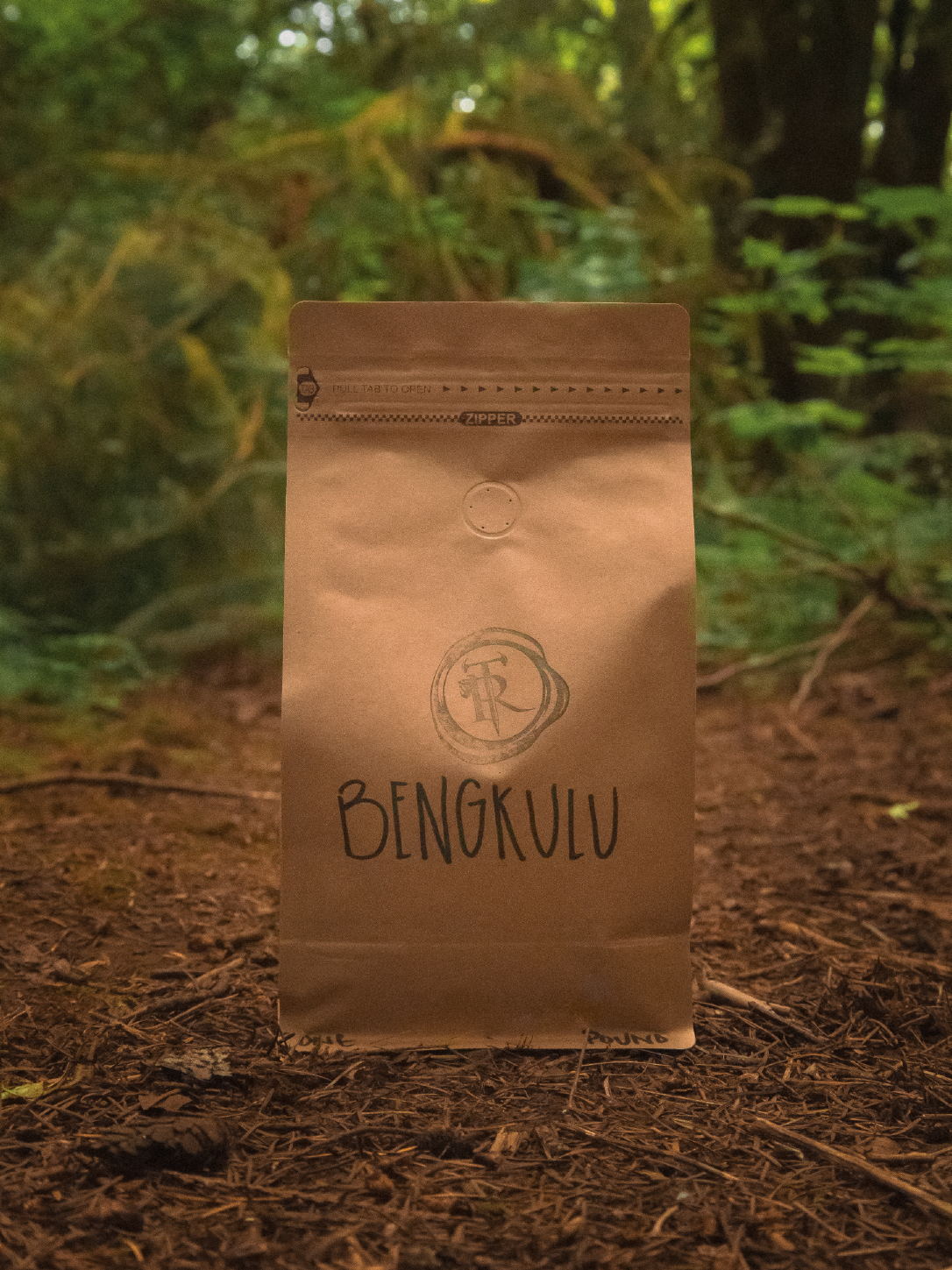 1LB Bengkulu Coffee Beans